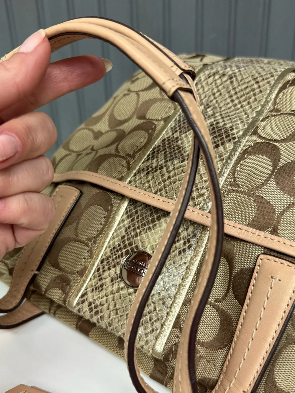 Coach classic signature